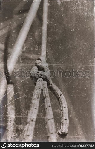 in australian catamaran a old rope in the sky like abstract concept