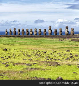 in chile rapa nui the antique and mysteriuos muai statue symbol of an  ancien culture 