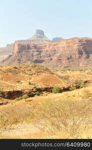 in ethiopia africa in the national park the mountain and the hill