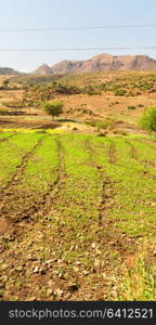 in ethiopia africa in the national park the mountain and the hill