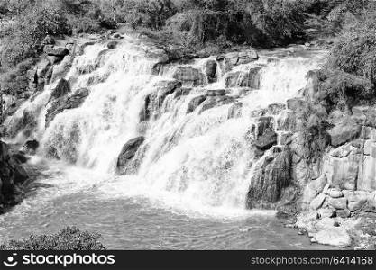 in ethiopia africa the awash national park and the falls nature wild