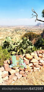 in ethiopia africa the panorama in the valley mountain and sky