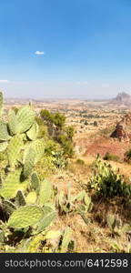 in ethiopia africa the panorama in the valley mountain and sky