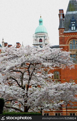 in europe london old red brick wall and historical window