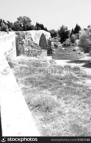 in europe turkey aspendos the old bridge near the river and nature