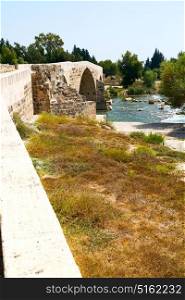in europe turkey aspendos the old bridge near the river and nature