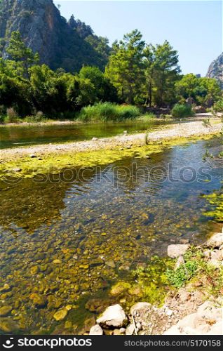 in europe turkey olympos near the river and nature