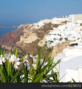 in europe vacation cyclades santorini old town white and the sky