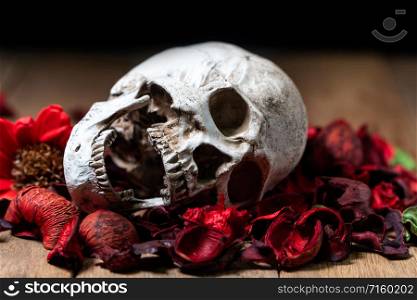 In front of human skull placed on red dried flowers on the wooden background.concept of death and Halloween