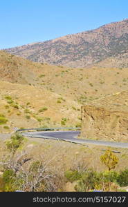 in ground africa morocco the bush dry atlas mountain