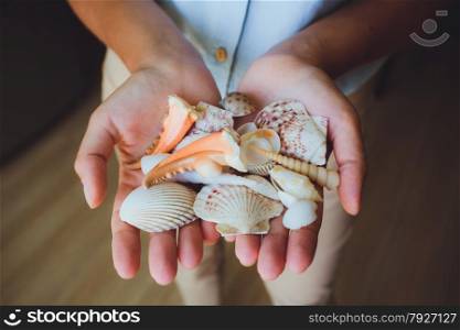 in human hands, women holding beautiful seashells, cone, starfish