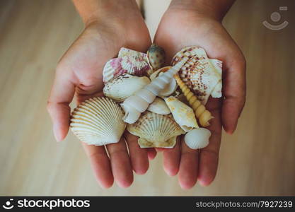 in human hands, women holding beautiful seashells, cone, starfish