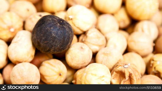 in iran blur typical dry lemon in abstract pattern background flavor and aroma