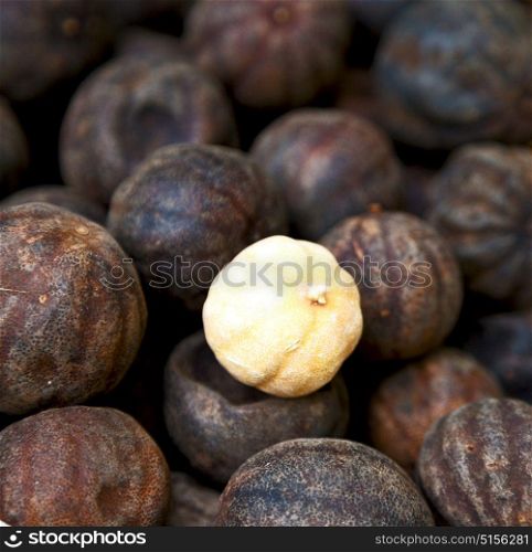 in iran blur typical dry lemon in abstract pattern background flavor and aroma