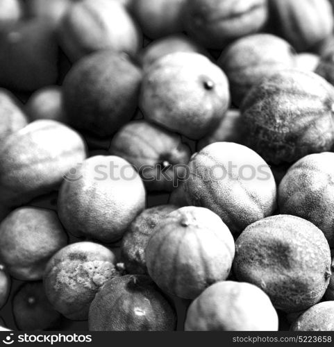 in iran blur typical dry lemon in abstract pattern background flavor and aroma