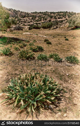 in jordan the scenic valley of dana natural reserve for walking