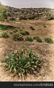 in jordan the scenic valley of dana natural reserve for walking