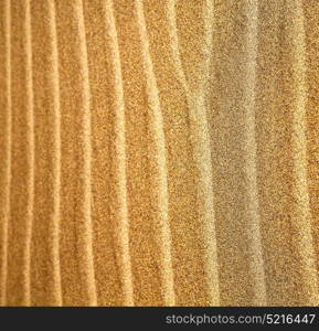 in lanzarote spain texture abstract of a dry sand and the beach