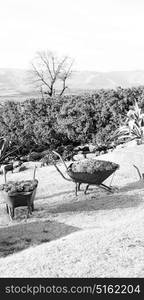 in lesotho africa the wheelbarrow near plant and cactus like nature concept