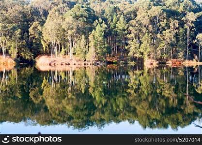 in lesotho mlilwane wildlife santuary the pound lake and tree reflection in water