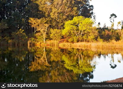 in lesotho mlilwane wildlife santuary the pound lake and tree reflection in water