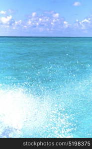 in mexico froath and blue foam in the sea drop sunny day