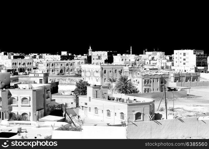 in muscat oman the cityscape and the palm near ocean view