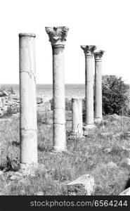 in northern of cyprus the antique city and ruins of salamina history and tradition
