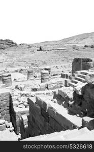 in petra jordan the antique street full of columns and architecture heritage