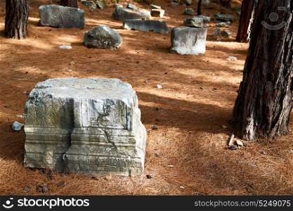 in phaselis temple turkey asia old ruined column and destroyed stone
