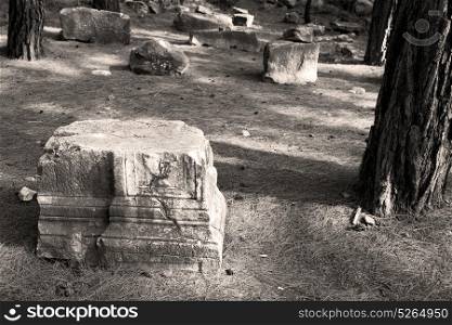 in phaselis temple turkey asia old ruined column and destroyed stone