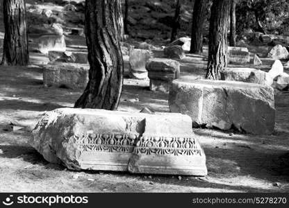 in phaselis temple turkey asia old ruined column and destroyed stone