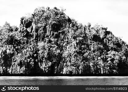 in philippines view from a cliff of the beautiful paradise bay and tropical lagoon