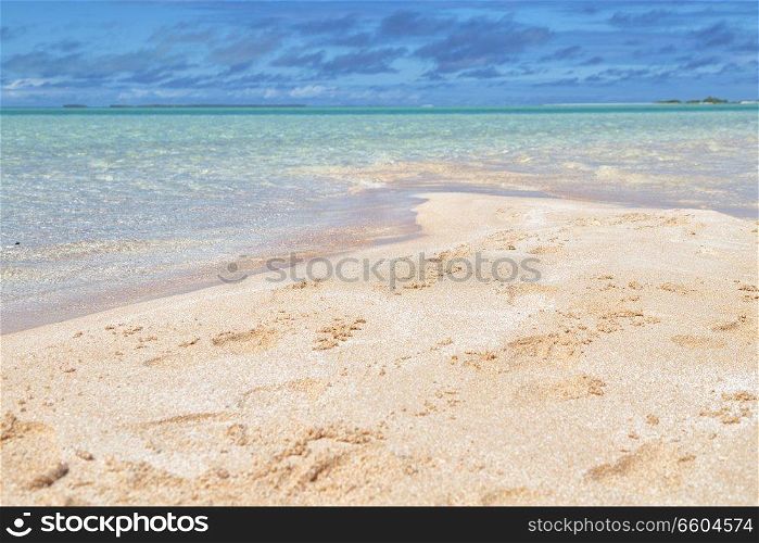 in polynesia rangiroa the pink sands of the coastline like paradise concept and relax
