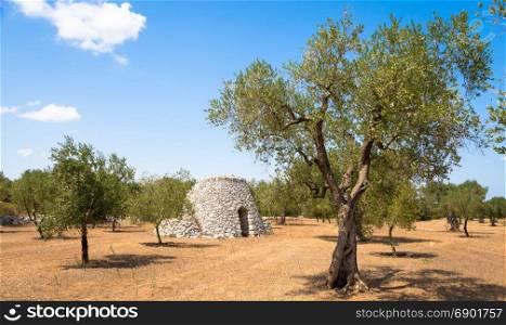 In Salento area, south of Italy, a traditional rural warehouse named Furnieddhu in local dialect. It&rsquo;s a traditional building made of stone in olives agricultural area.