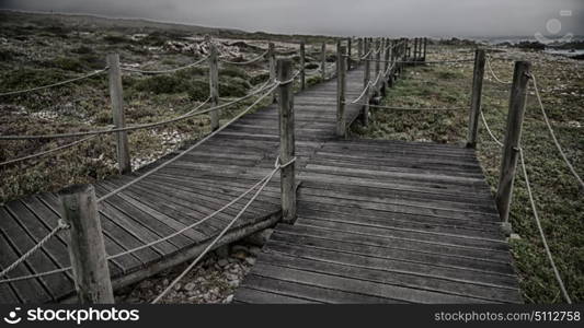 in south africa beach walkway near indian ocean flower sky and rock