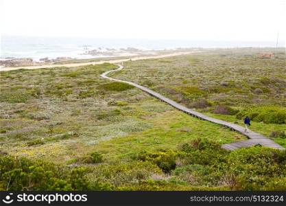 in south africa beach walkway near indian ocean flower sky and rock