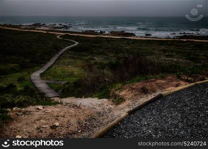 in south africa beach walkway near indian ocean flower sky and rock