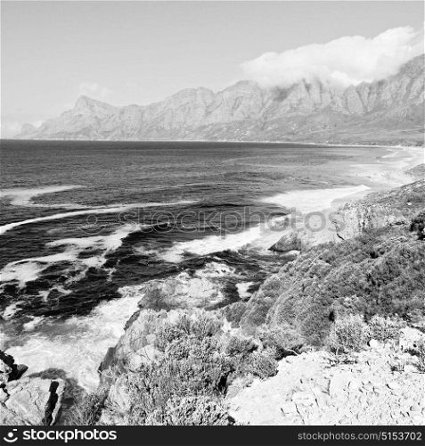 in south africa coastline indian ocean near the mountain and beach with pkant and bush