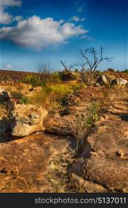 in south africa mountain land and the park natural reserve