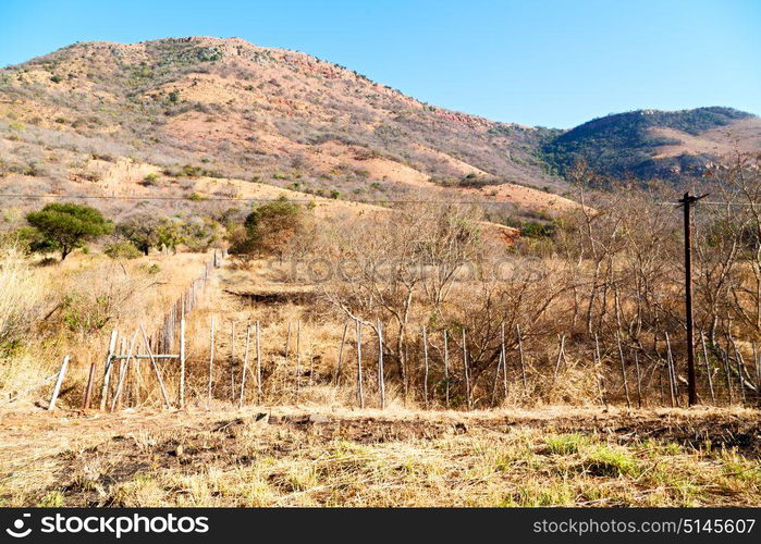 in south africa mountain land and the park natural reserve