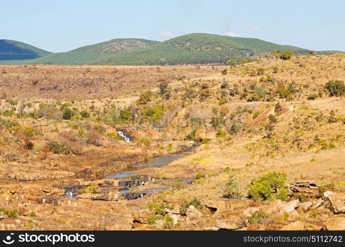 in south africa river canyon park nature reserve sky and rock