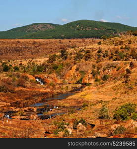 in south africa river canyon park nature reserve sky and rock