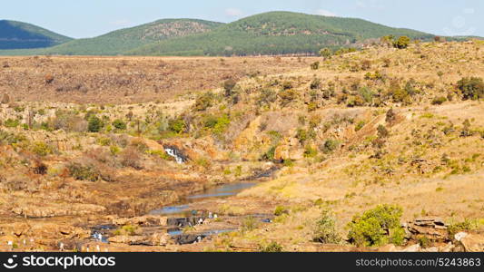 in south africa river canyon park nature reserve sky and rock