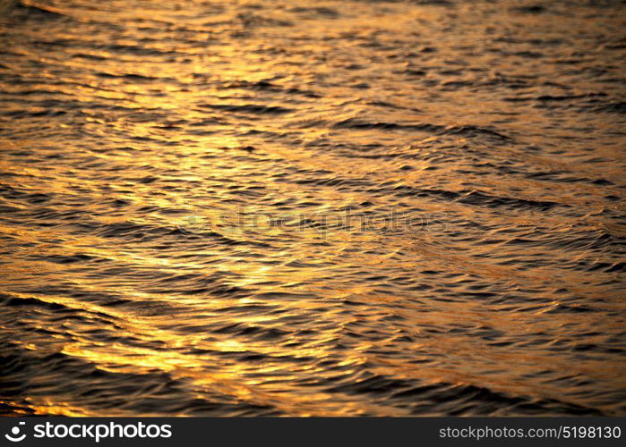 in south africa sea indian ocean and abstract gold wave for sunset