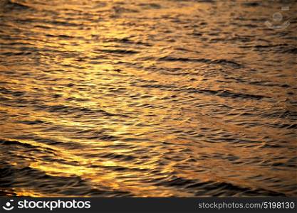 in south africa sea indian ocean and abstract gold wave for sunset