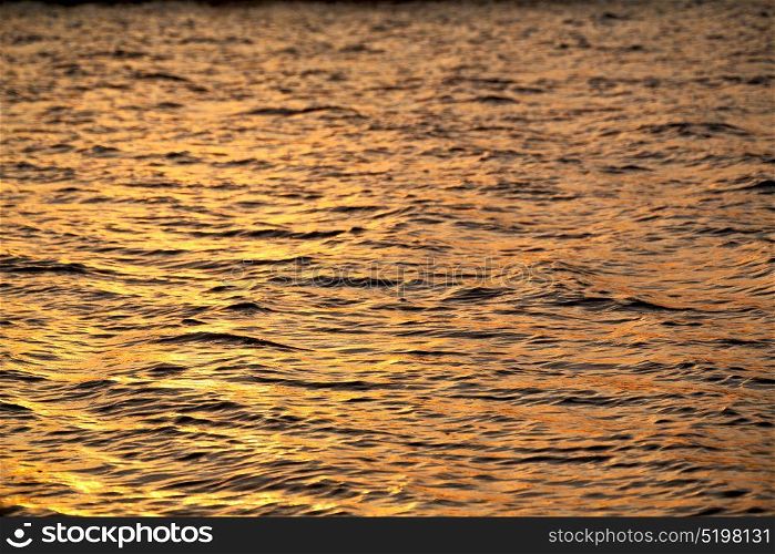 in south africa sea indian ocean and abstract gold wave for sunset