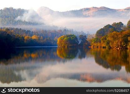 in swaziland the mlilwane wildlife sanctuary and his lake near tree and fog