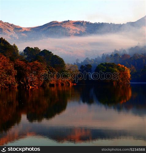 in swaziland the mlilwane wildlife sanctuary and his lake near tree and fog