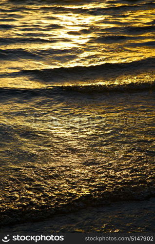 in thailand water south china sea kho tao bay abstract of a gold orange line